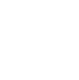Shelby Brothers — gasoline powered cars only